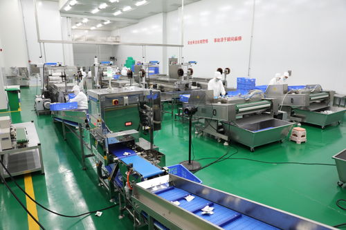 拜泉縣 技術(shù)咨詢賦能重點(diǎn)項(xiàng)目，全力開創(chuàng)建設(shè)新局面